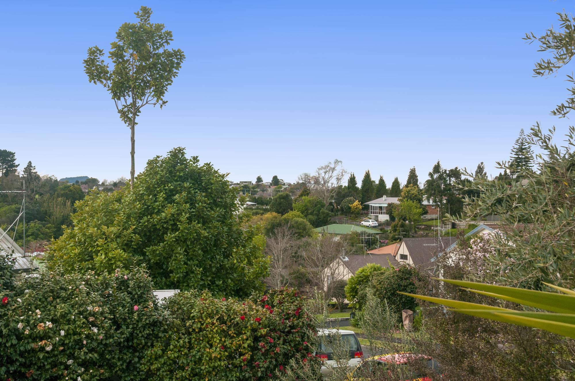 313 Waihi Road, Judea, Tauranga, 6 રૂમ, 3 બાથરૂમ