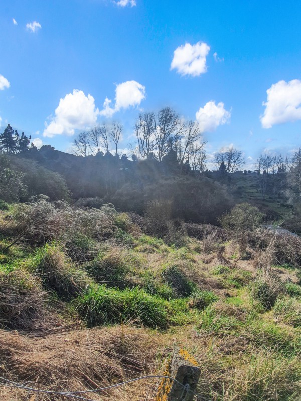 36 Bullians Avenue, Taumarunui, Ruapehu, 0 chambres, 0 salles de bain