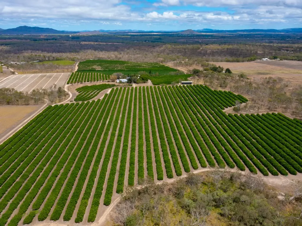 Mareeba  EXCLUSIVE: Mareeba's Premier Citrus Agribusiness – 221 Acres, 19,000 Trees, 30%+ Proven ROI – Turnkey & Fully Accredited.