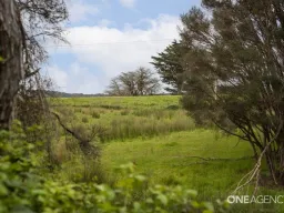 Lot 1 Blackabys Road, Boat Harbour