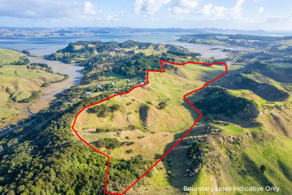 Kawhia Kawhia grazing