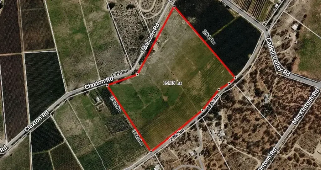 Cadell  Expansive 15 Hectare Riverland Vineyard Opportunity