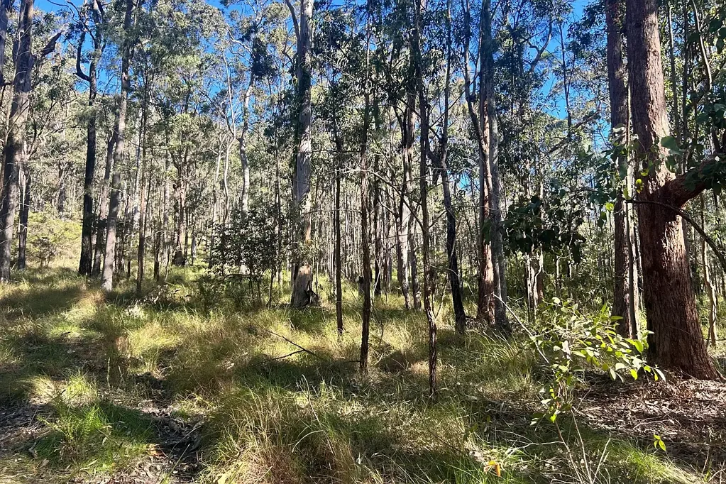 LOT 748 Tenterfield Road, North Arm Cove, NSW 2324