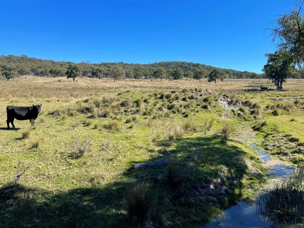 58 Eukey Road, Stanthorpe, QLD 4380