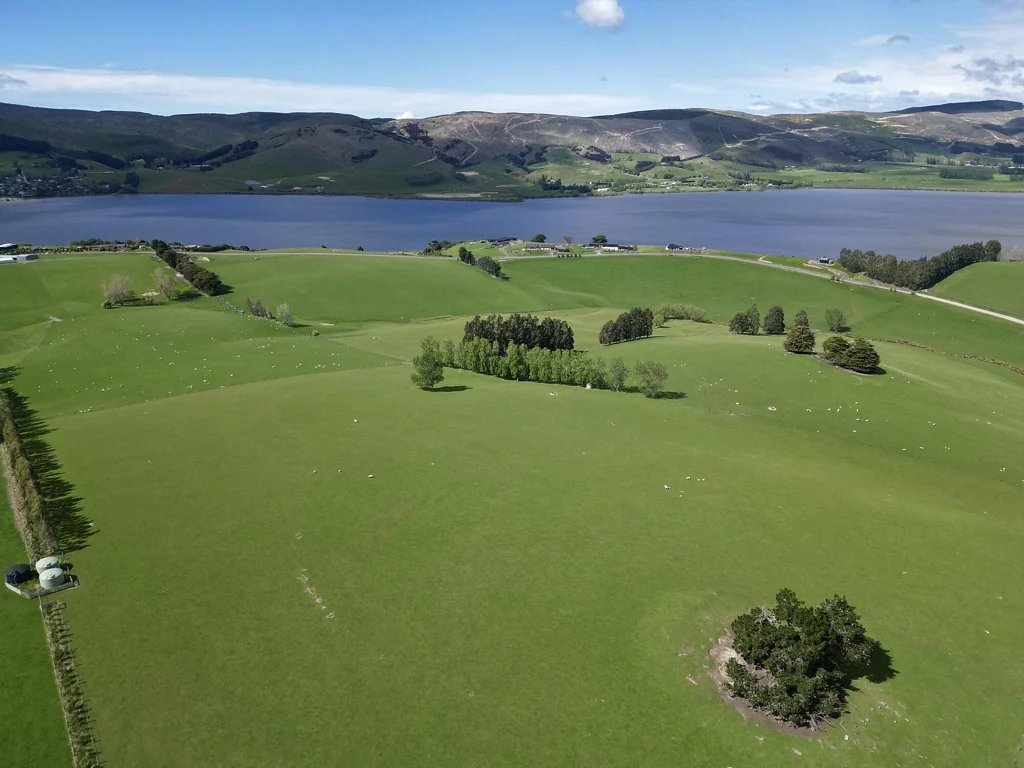 Clarendon Productive unit - sheep, beef or dairy grazing