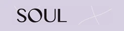 Soul Property Agents