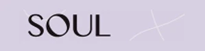 Soul Property Agents