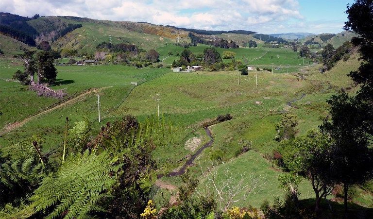 650 Waitohu Valley Road, Manakau, Horowhenua, 0 ห้องนอน, 0 ห้องน้ำ