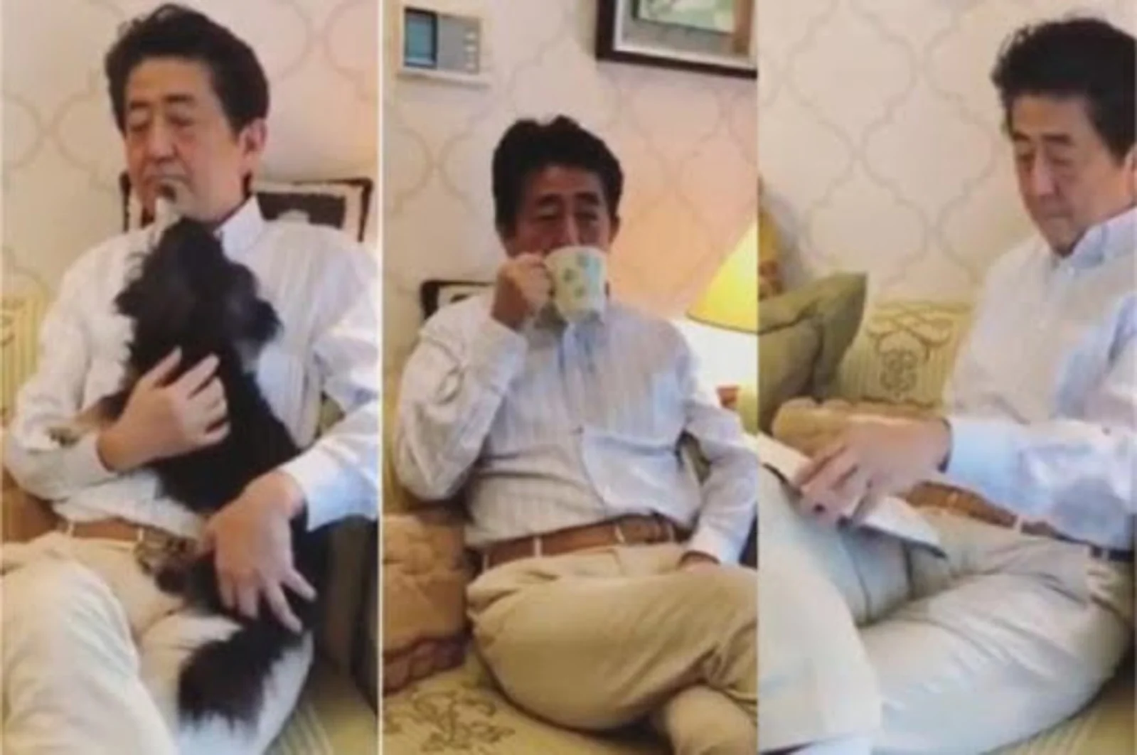看书逗狗看电视 安倍发居家视频吁民众宅家反被批