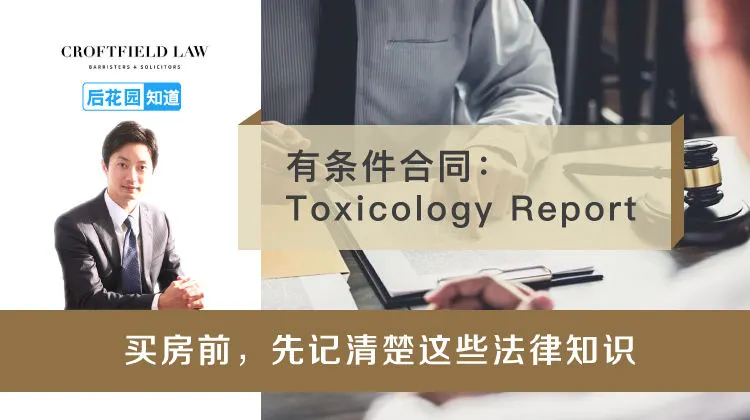 4，有条件合同：Toxicology Report