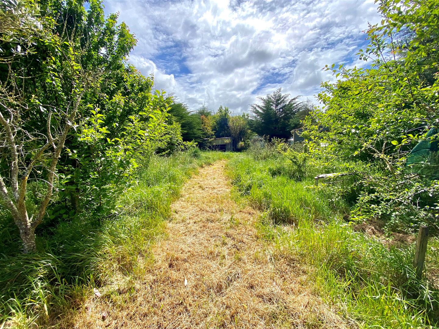 693 Domett Road, Domett, Hurunui, 3 rūma, 1 rūma horoi