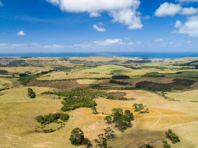 68 Aranga Coast Road, Dargaville Surrounds, Kaipara, 0 Schlafzimmer, 1 Badezimmer, Bare Land