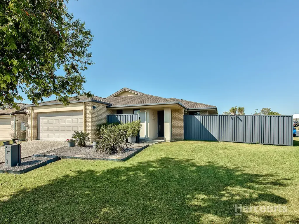 Morayfield 4房 转角双街入口 4卧带步入式衣帽间 开放式厨餐区 双车库 全围栏庭院可容船车 Morayfield Lowset – Corner Position 2 Street Access