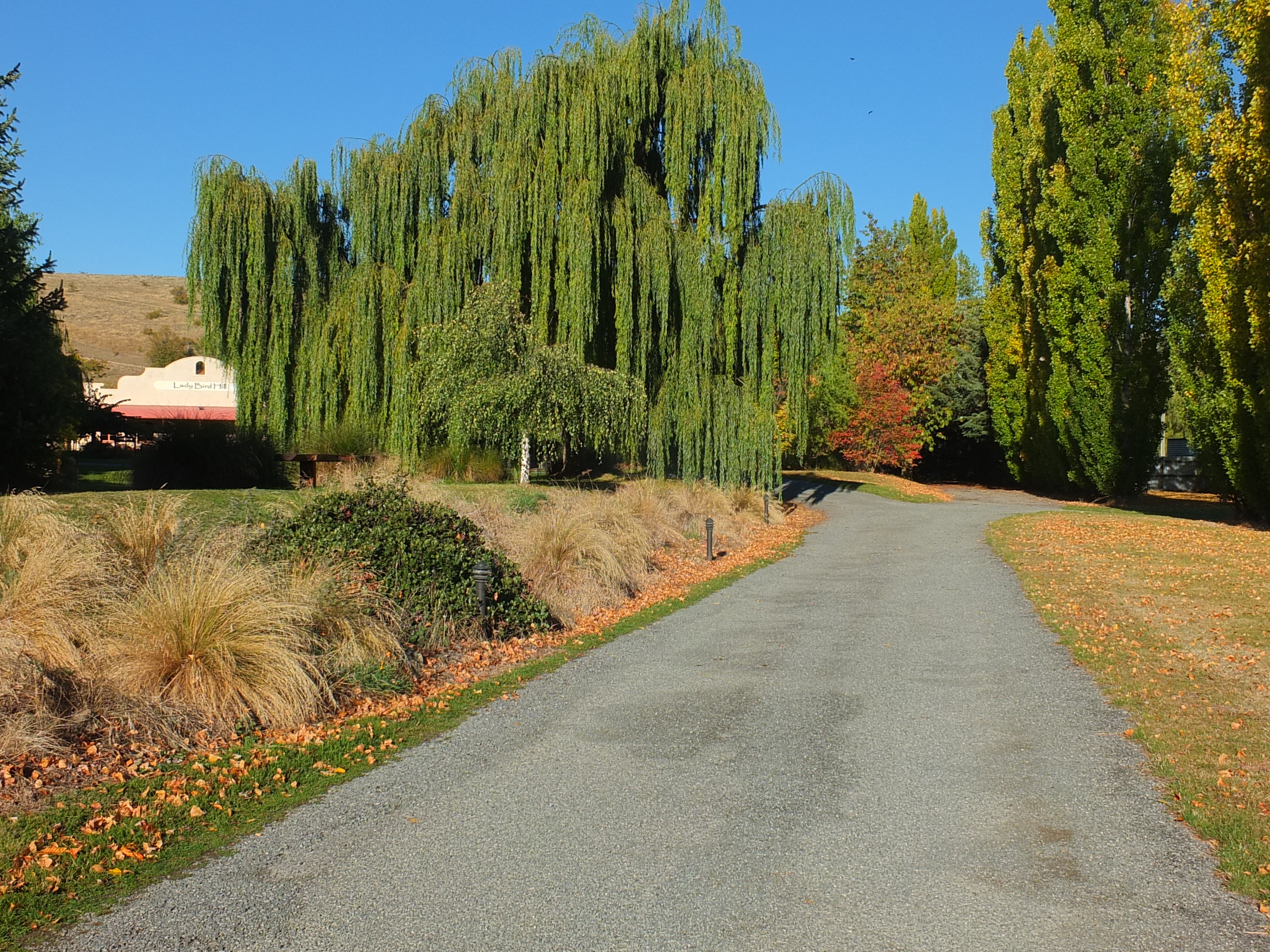 1 Pinot Noir Court, Omarama, Waitaki, 3 rūma, 0 rūma horoi, Lifestyle Property