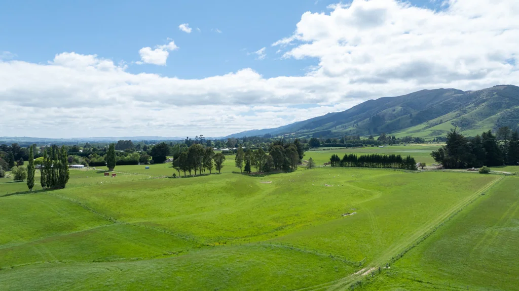 Tapanui  4.2ha Lifestyle Block