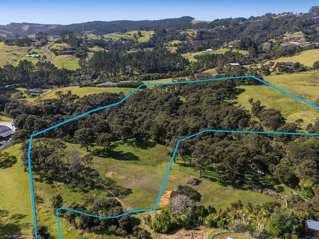 Helensville Create the Home You've Always Dreamed Of