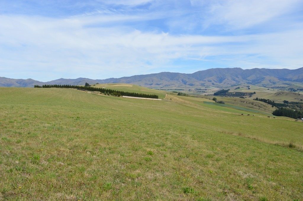 785 Craigmore Valley Road, Maungati, Waimate, 4 Schlafzimmer, 1 Badezimmer