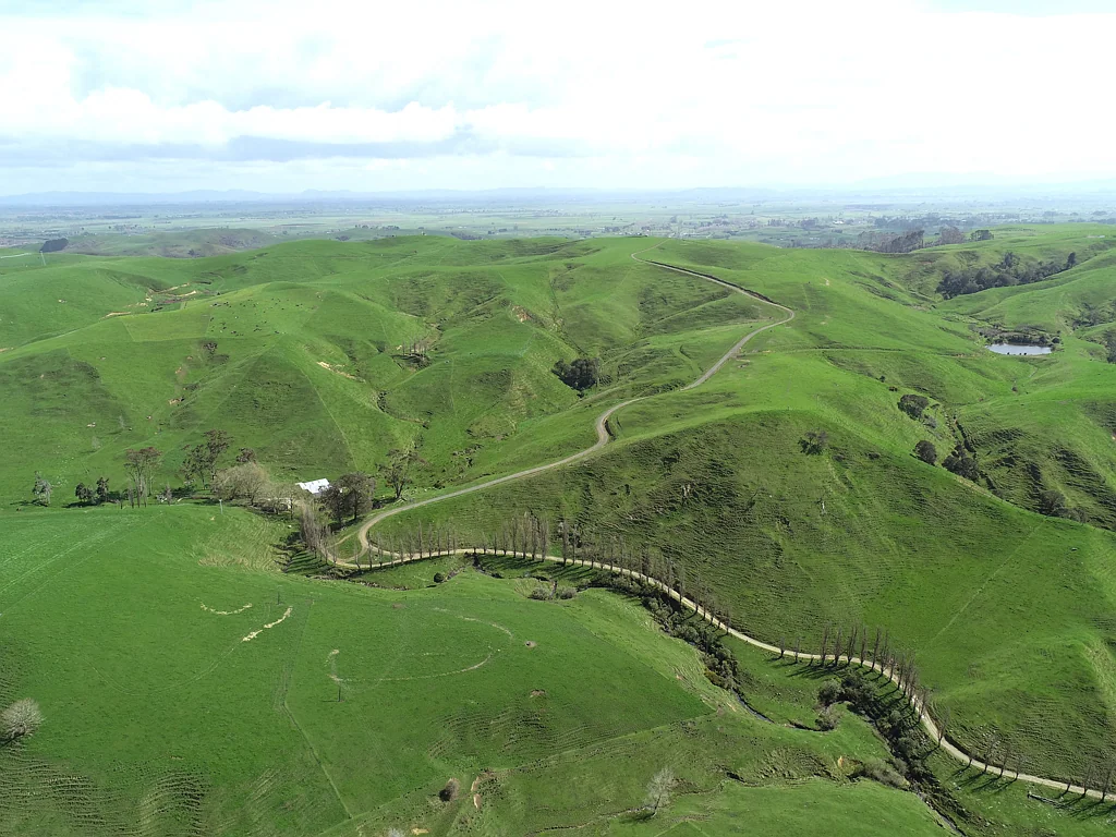 Morrinsville  Seize the Opportunity