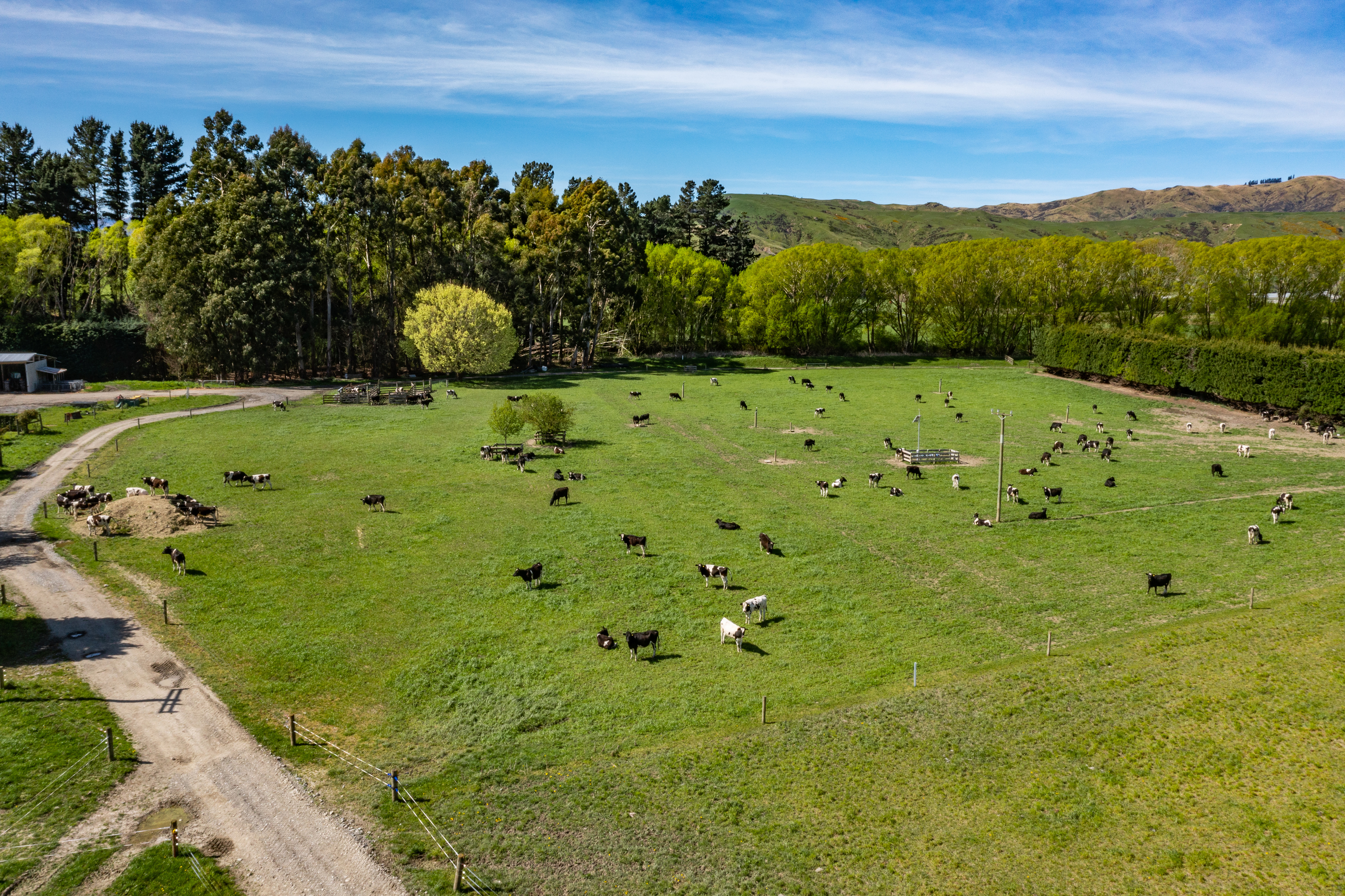 558 Leader Road West, Waiau, Hurunui, 0 rūma, 0 rūma horoi, Finishing