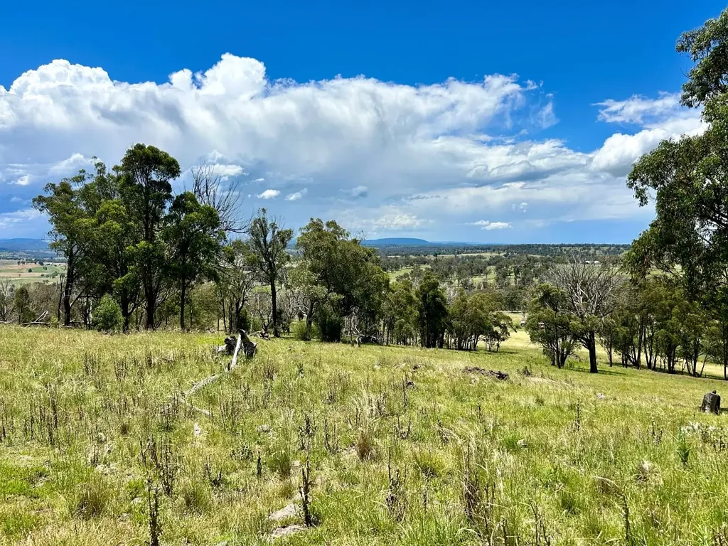 Lot 338 Swilks Road, Uralla, NSW 2358