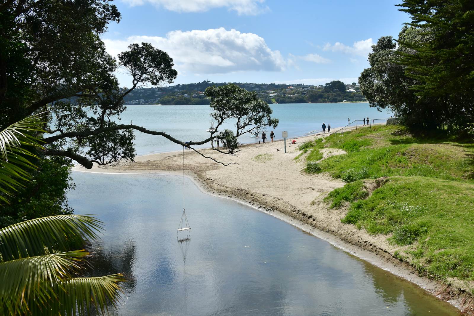 12 Moreton Drive, Manly, Auckland - Rodney, 4 રૂમ, 2 બાથરૂમ