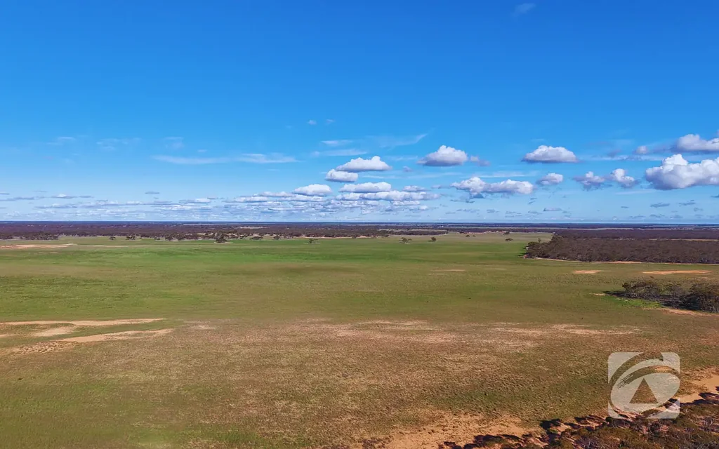 Boolgun 965.5 ha (2,386 acres) — Boolgun Road, Riverland, South Australia