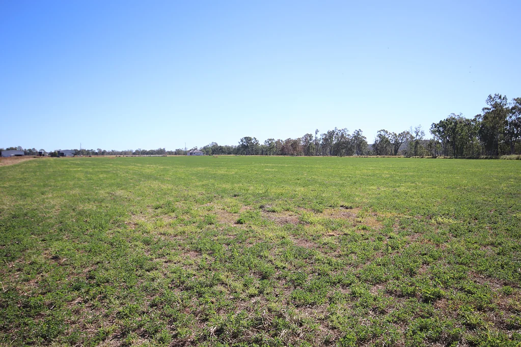 Eidsvold Make Hay While the Sun Shines