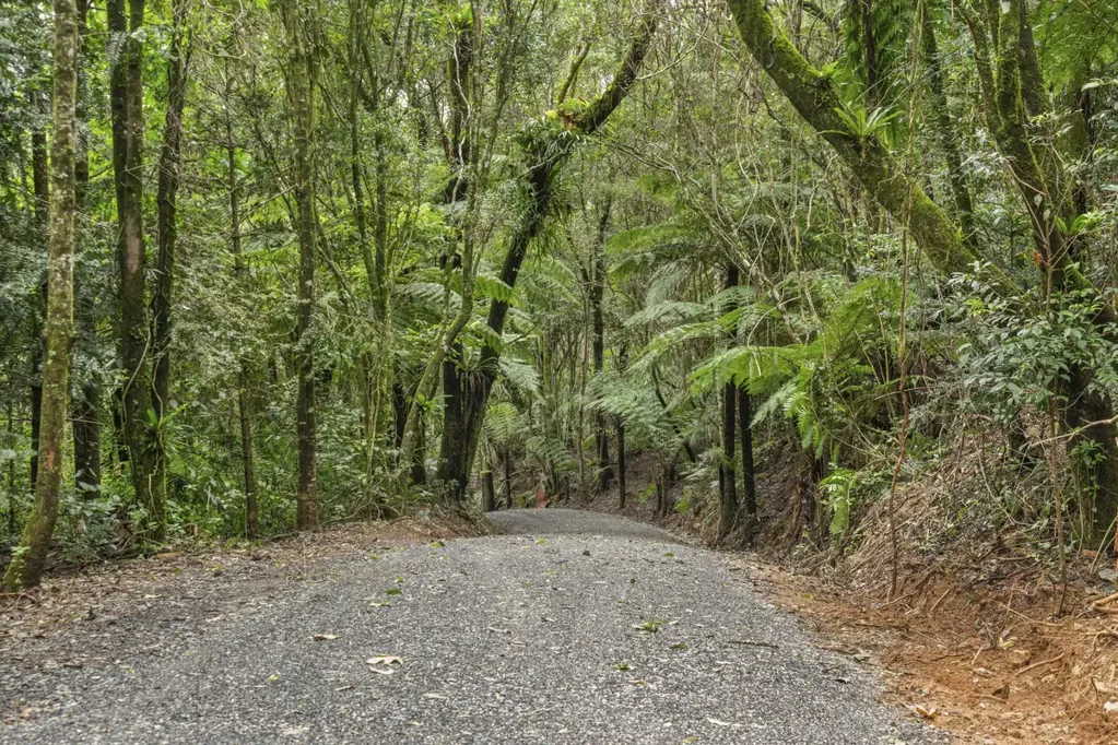 Springbrook Your Private Springbrook Escape Awaits - 10+ Acres Opposite Twin Falls