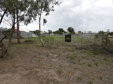 Minyip SET ON THE EDGE OF TOWN