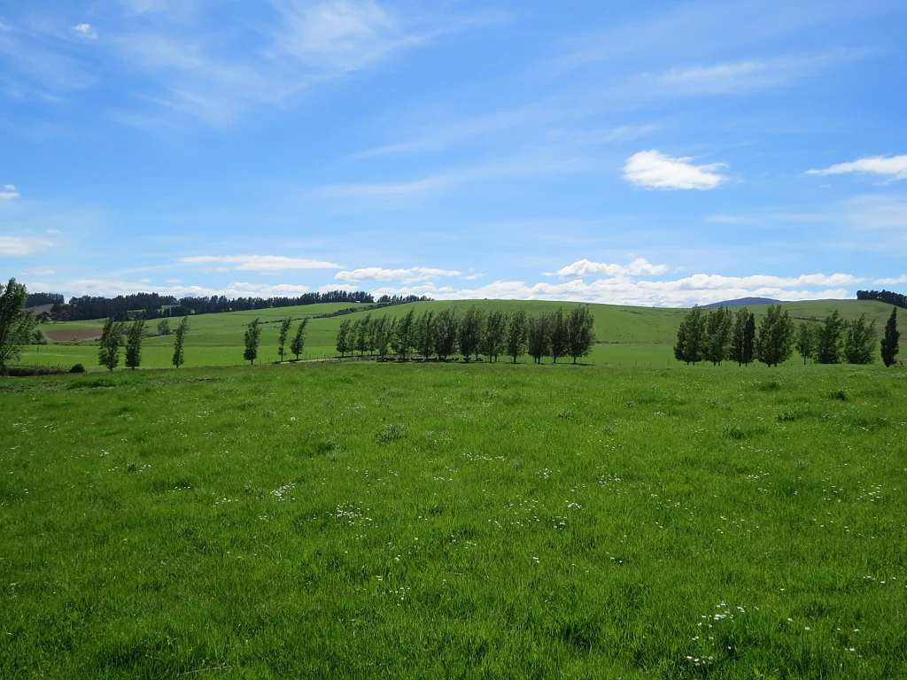 Te Anau Diversified opportunity in the Te Anau basin