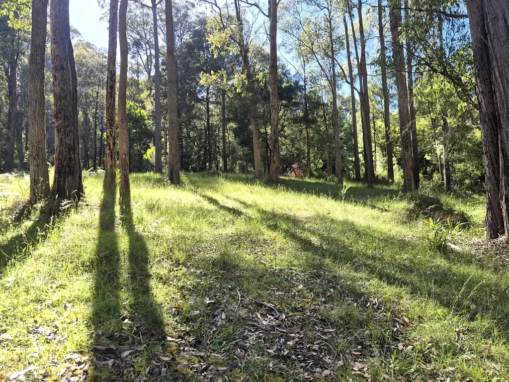 Reefton Large vacant land over 5600sqm