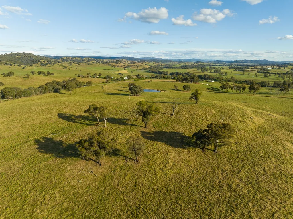 4276 Westbrook Road, Tarcutta, NSW 2652