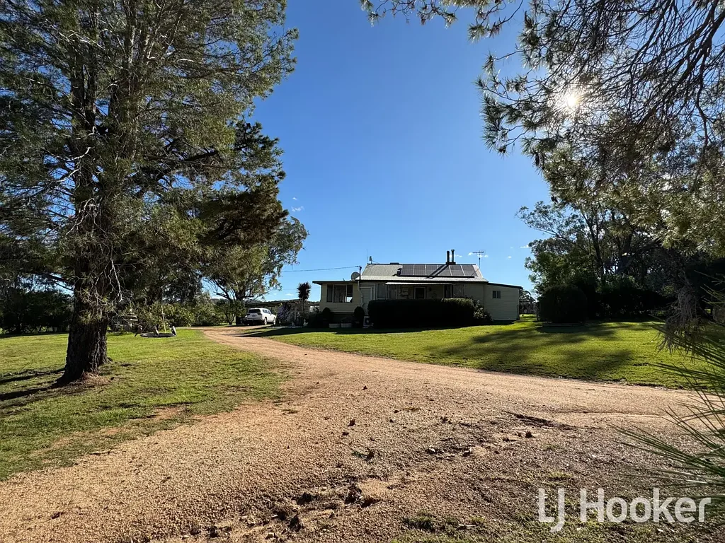 Inverell 5Moenga Lifestyle, Space & Self-Sufficiency – Just Minutes from Town!