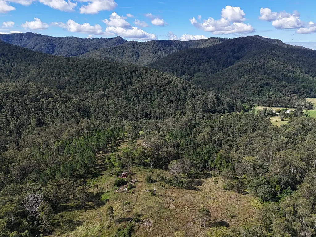 1894 Nowendoc Road, Mount George, NSW 2424