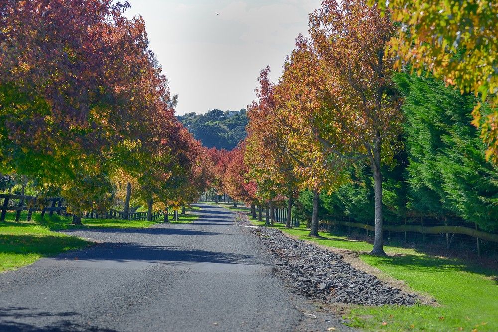 4a Birch Park Lane, Whitford, Auckland - Manukau, 5 ਕਮਰੇ, 0 ਬਾਥਰੂਮ