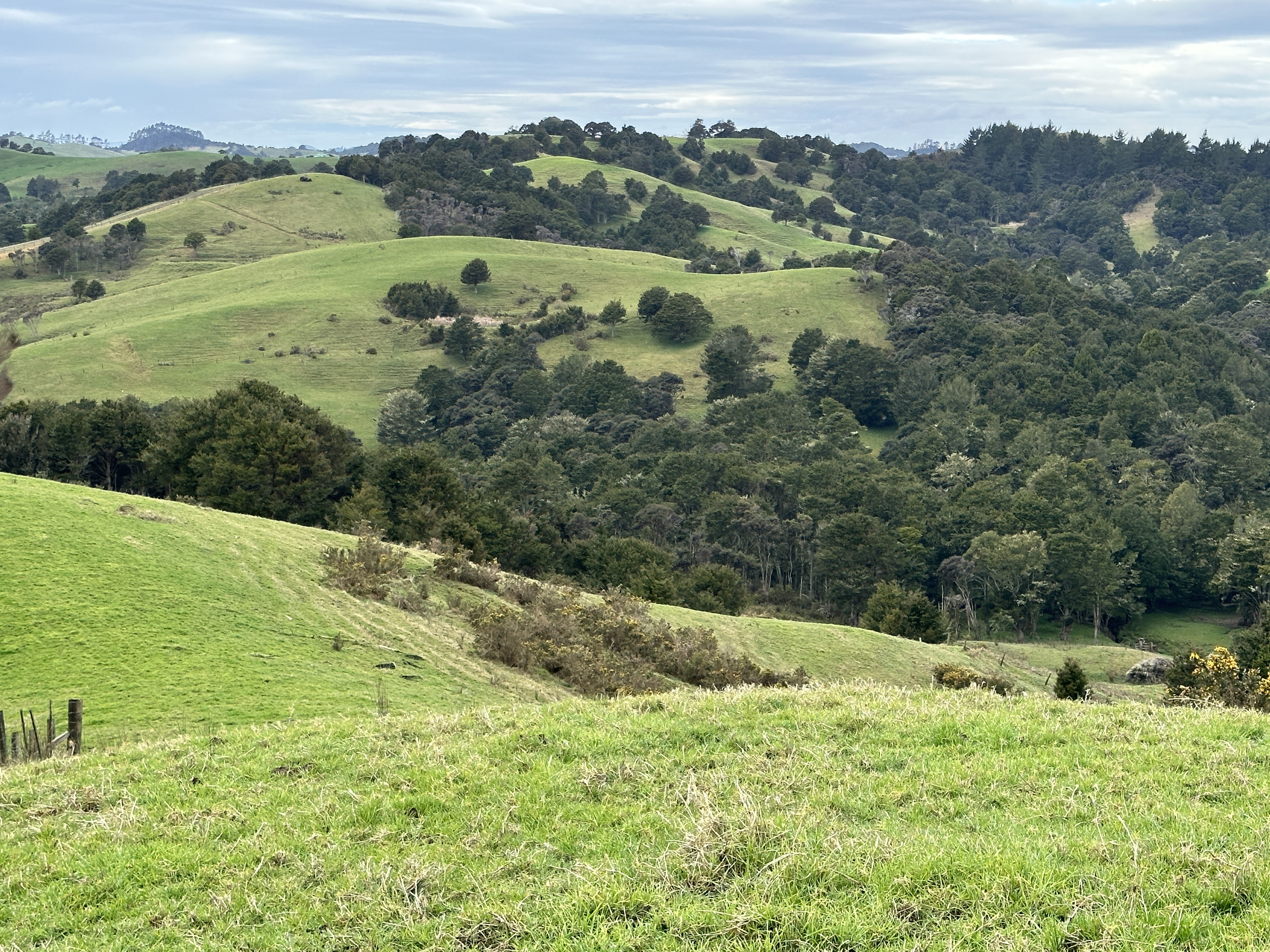 Bently Road, Ruawai, Kaipara, 0 phòng ngủ, 1 phòng tắm, Grazing