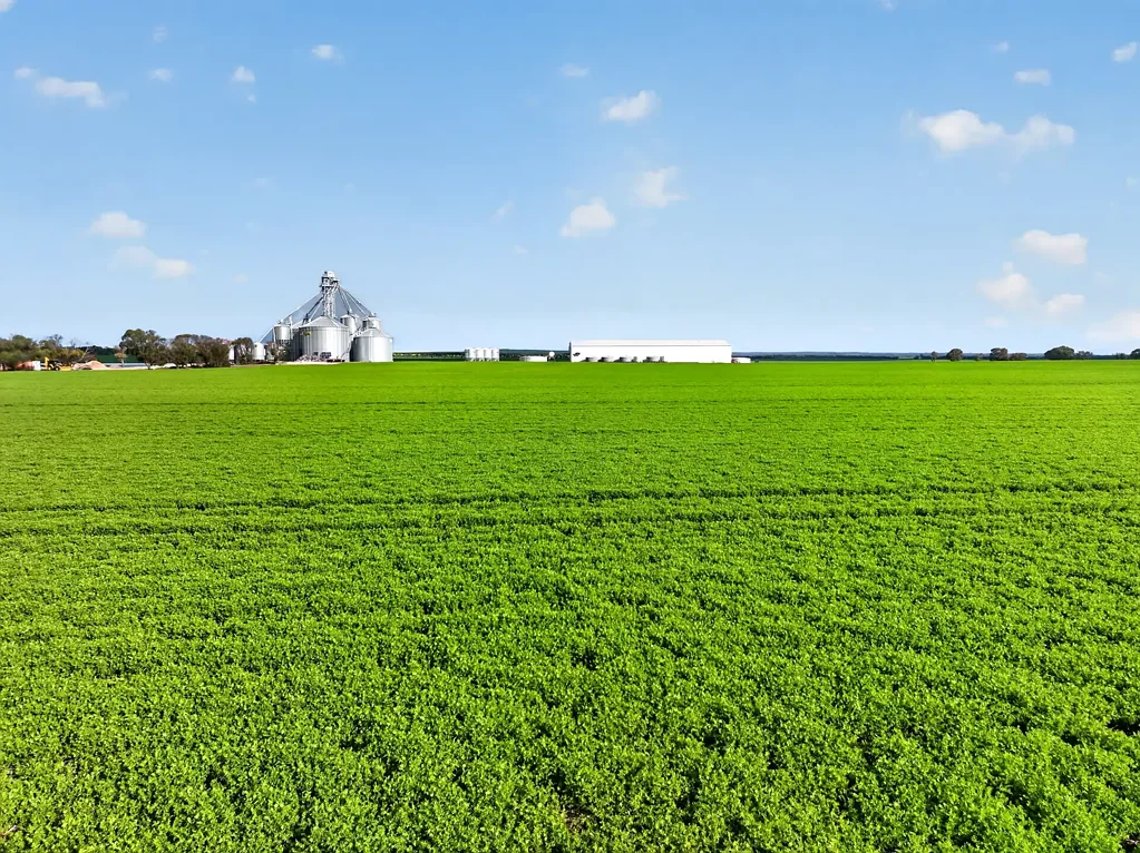 Maitland  A Landmark Cropping Opportunity with Exceptional Infrastructure