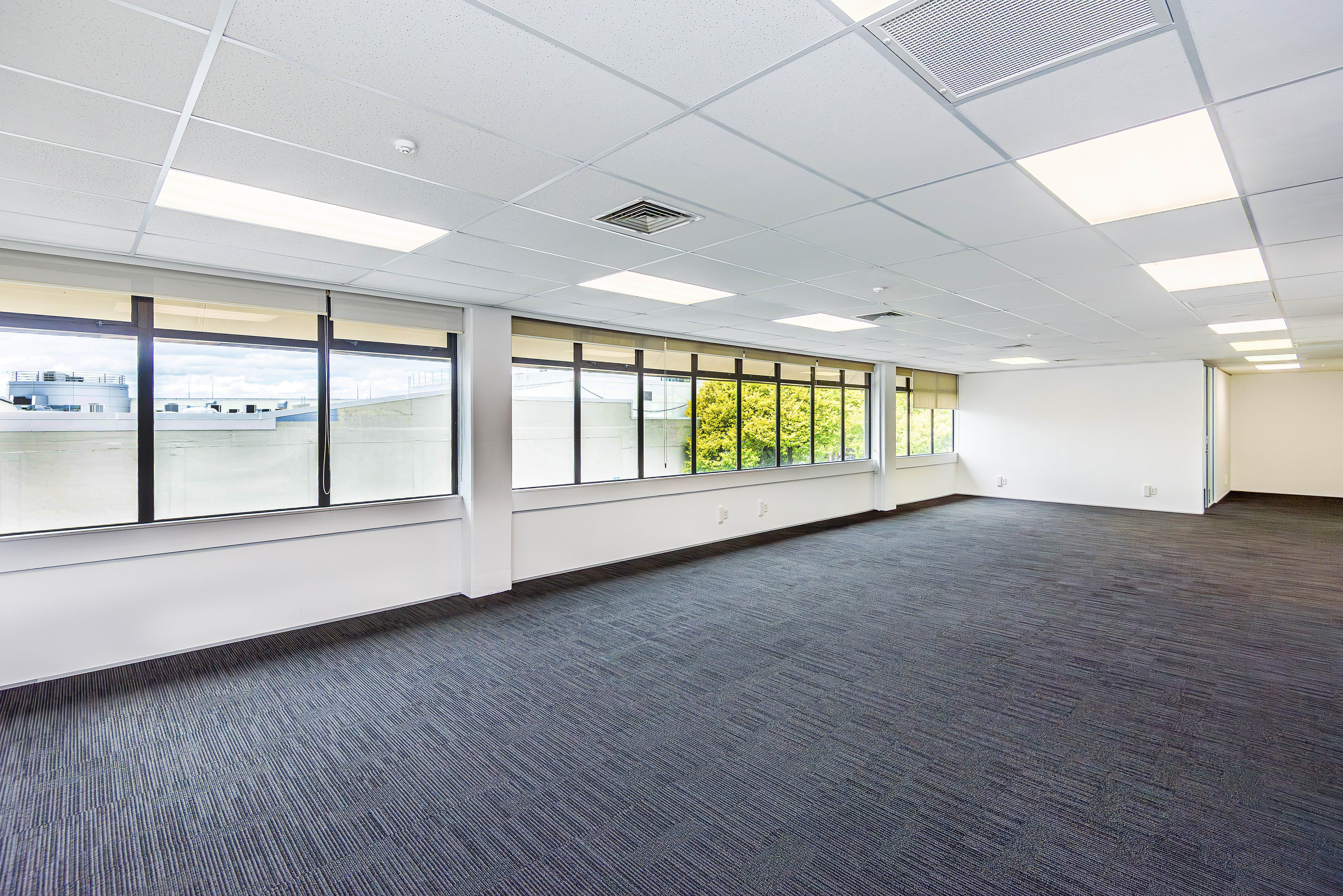 3 Margot Street, Epsom, Auckland, 0 कमरे, 0 बाथरूम, Office Premises