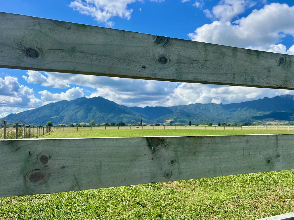 Te Aroha The King of all sections!