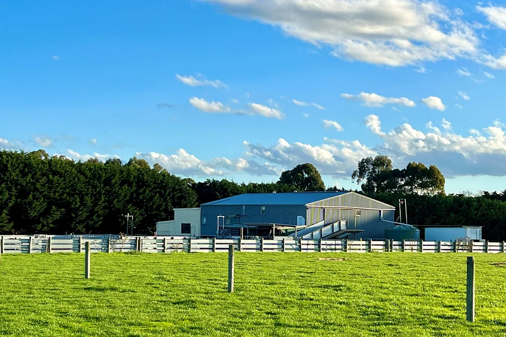 Hexham  'A' Grade Rural Holding