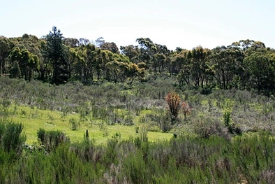 1 Hillview Drive, Broadford, VIC 3658, 0 Bedrooms, 0 Bathrooms, Lifestyle Property