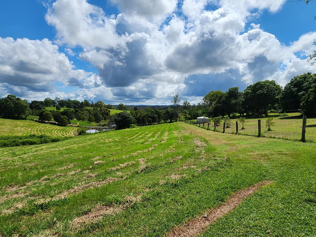 Chatsworth Small Acreage, perfect for a couple of horses!