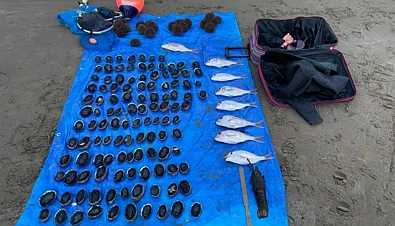 狂捞鲍鱼、龙虾！奥克兰多人遭举报，当场人赃俱获，结局凉凉了......