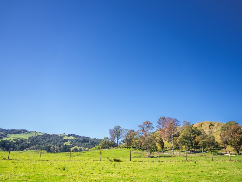 232 Kotare Road, Ruakituri, Wairoa, 3 rūma, 1 rūma horoi