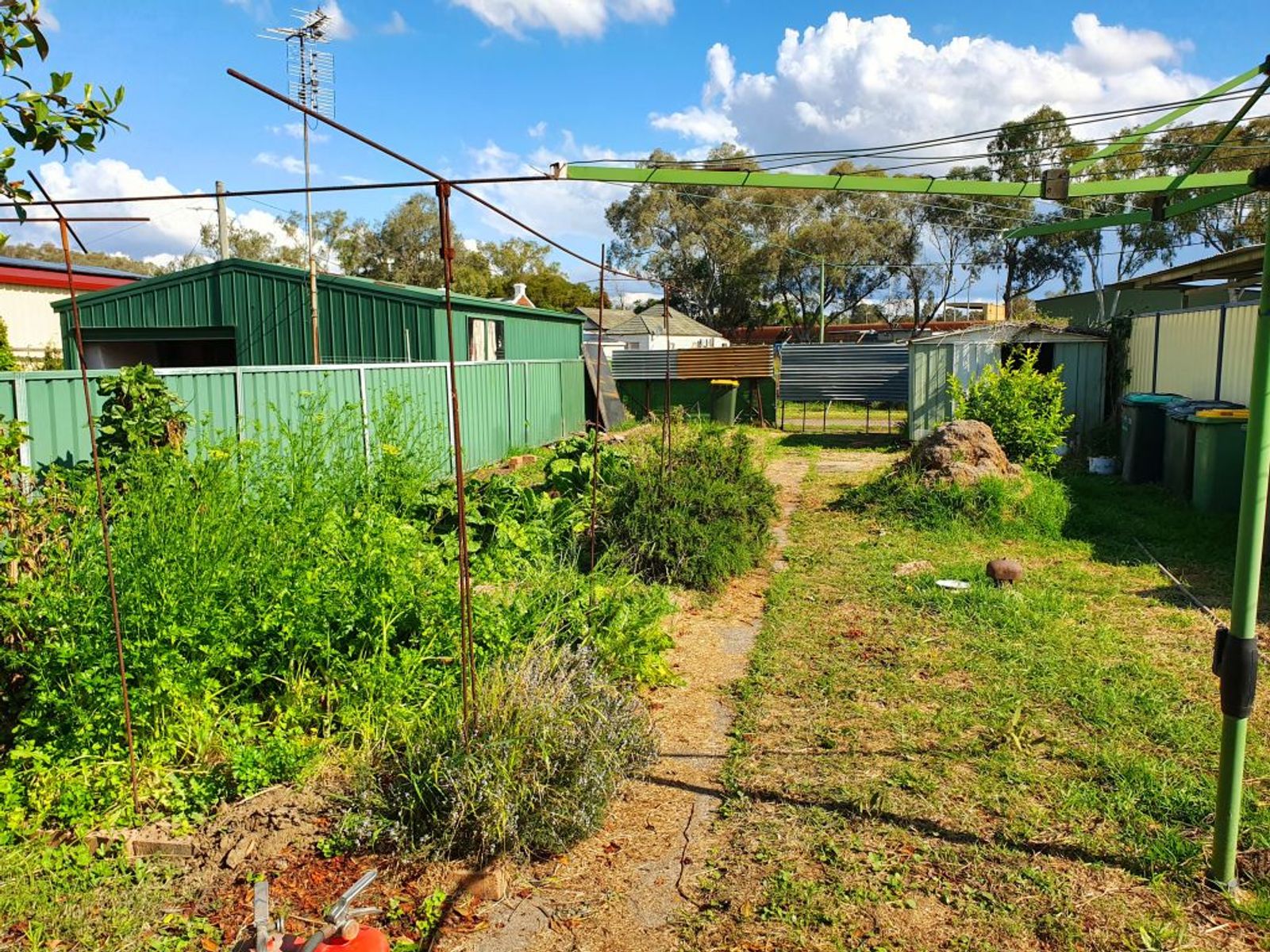 3 FOLEY ST, MUSWELLBROOK NSW 2333, 0 ห้องนอน, 0 ห้องน้ำ, House