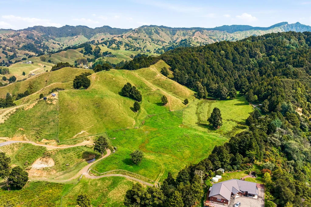 Taumarunui  Build, graze or landbank
