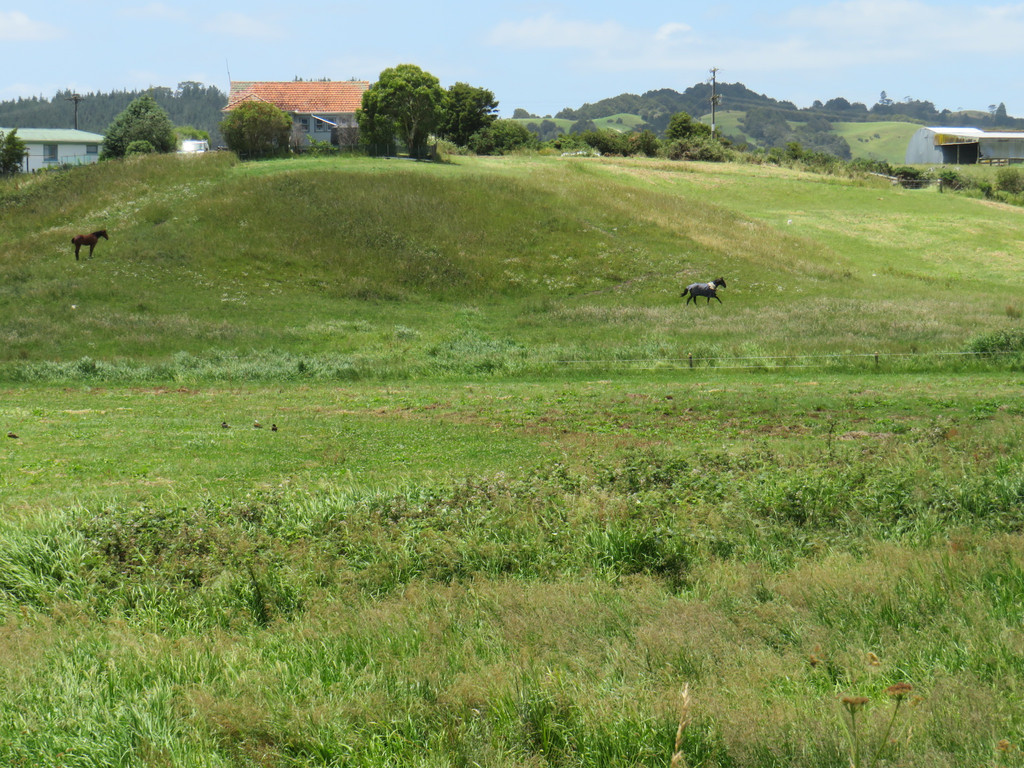 Swamp Road, Mareretu, Kaipara, 0 침실, 1 욕실