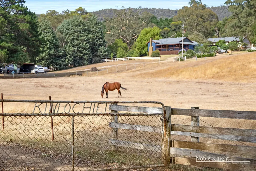 Flowerdale "Kinlochiel" – A Picturesque Lifestyle Retreat on 20.7 Acres (Approx.)