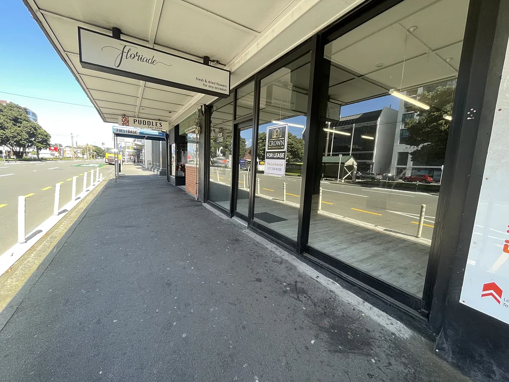 Te Aro Top Of the Town - very tidy 77sqm