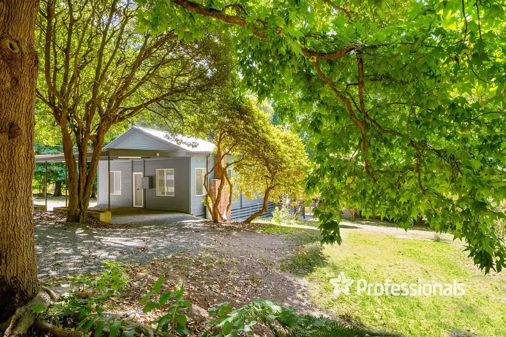 1515 Little Yarra Road, Powelltown, VIC 3797
